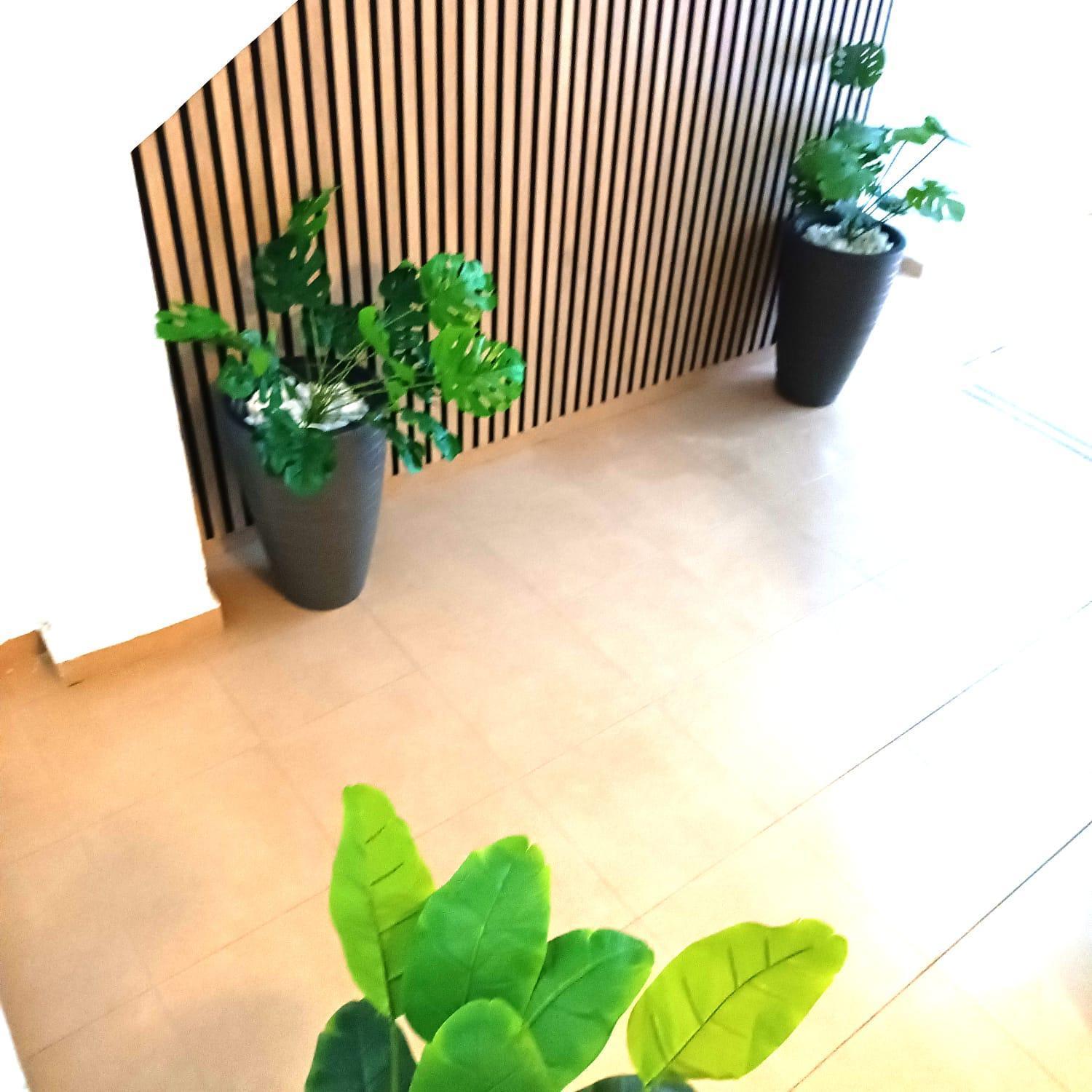 Apartamentos Terrazas De San Juan 马拉加 外观 照片