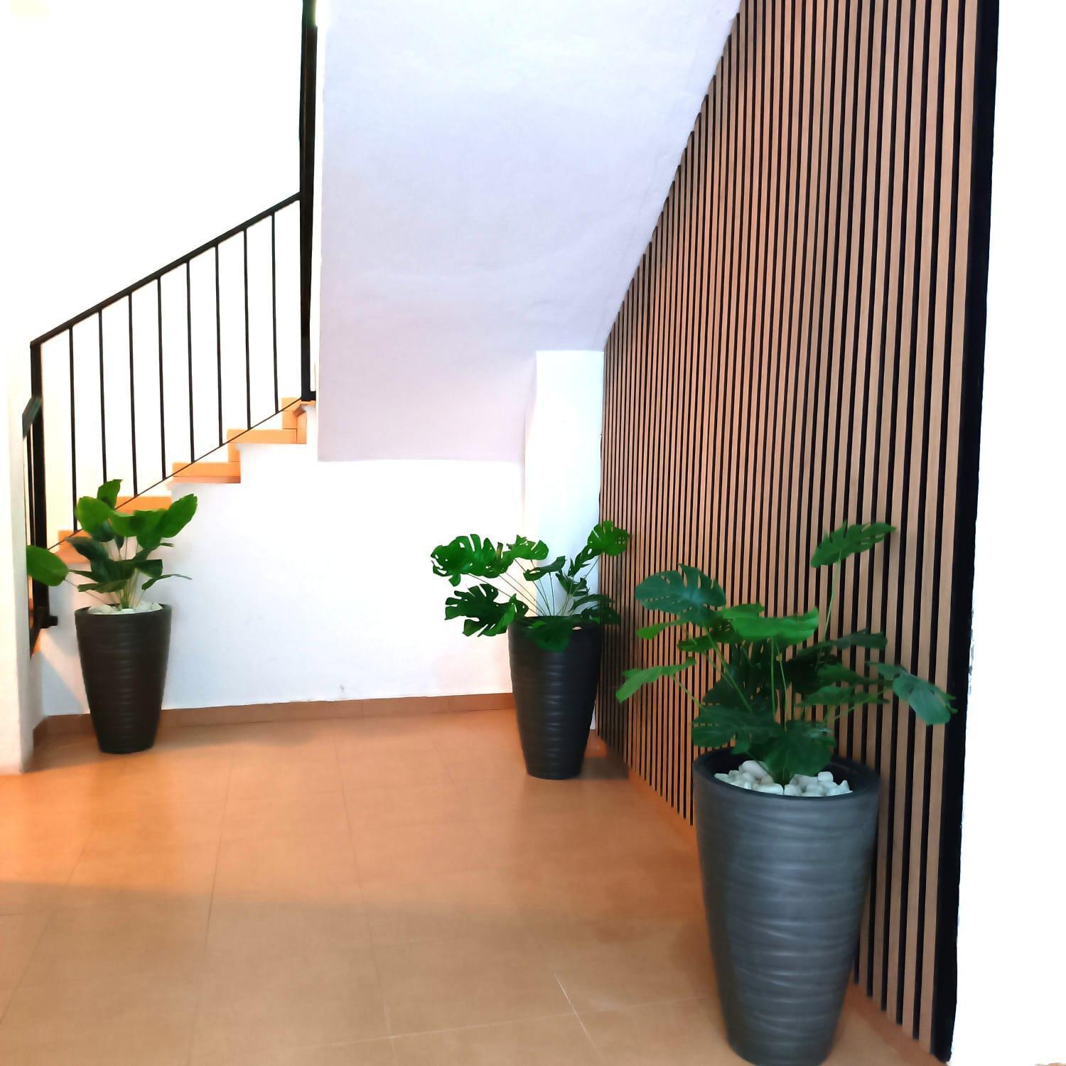Apartamentos Terrazas De San Juan 马拉加 外观 照片